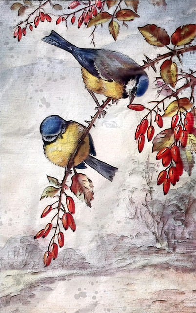 秋天的珠宝 野生动物 鸟 - 上的免费图片