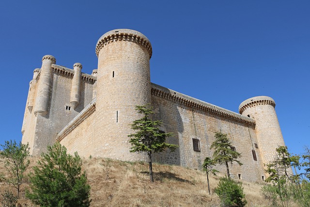 城堡 Torrelobatón 巴利亚多利德 - 上的免费照片