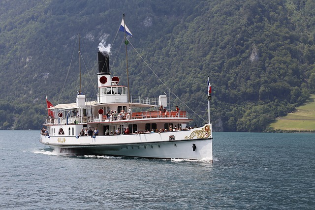 卢塞恩湖区域 Ds加利亚 船 - 上的免费照片