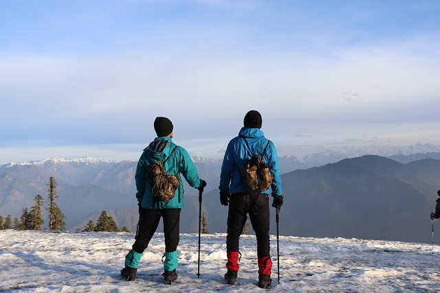 抵达 朋友们 团队合作 - 上的免费照片