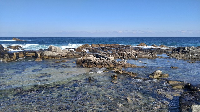 海 江原道 韩国 - 上的免费照片