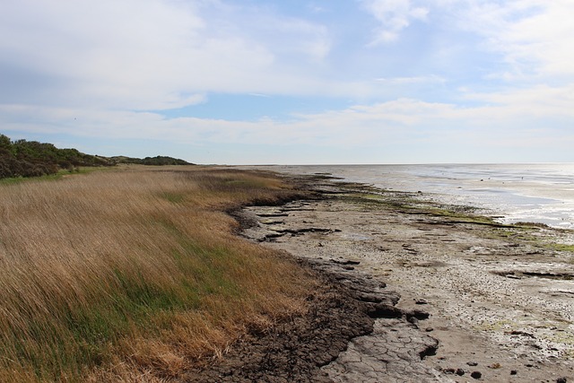 Ameland Het Oerd 瓦 - 上的免费照片