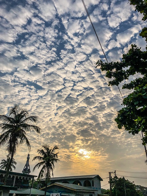 拉各斯 Ikeja 尼日利亚 - 上的免费照片