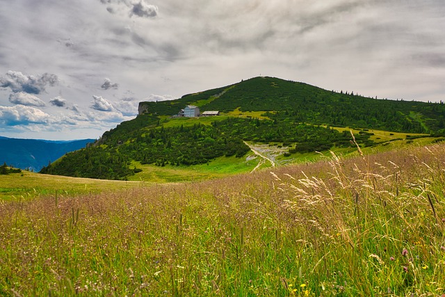 景观 拉克斯 自然 - 上的免费照片