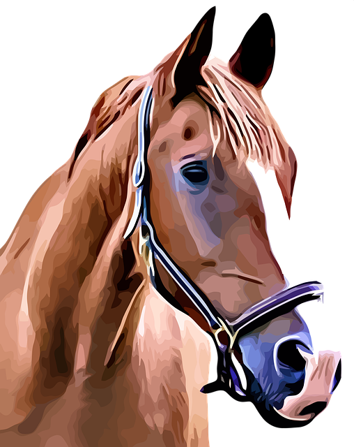 马 棕色 肖像 - 上的免费图片