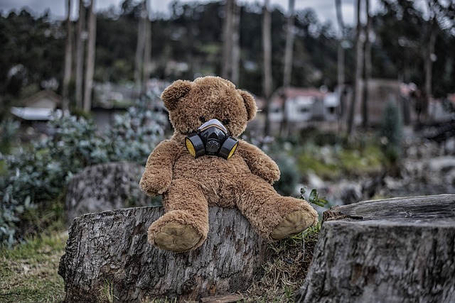 树 砍伐 木头 - 上的免费照片