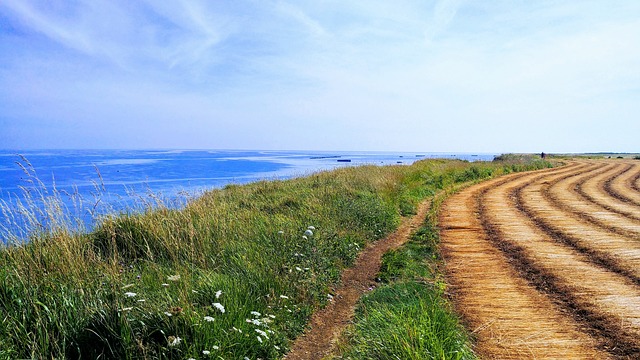 亚麻布 诺曼底 法国 - 上的免费照片