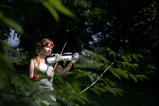 精灵 Cosplay 幻想 - 上的免费照片