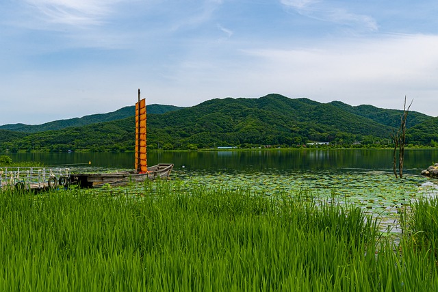 双头 杨平 湖 - 上的免费照片