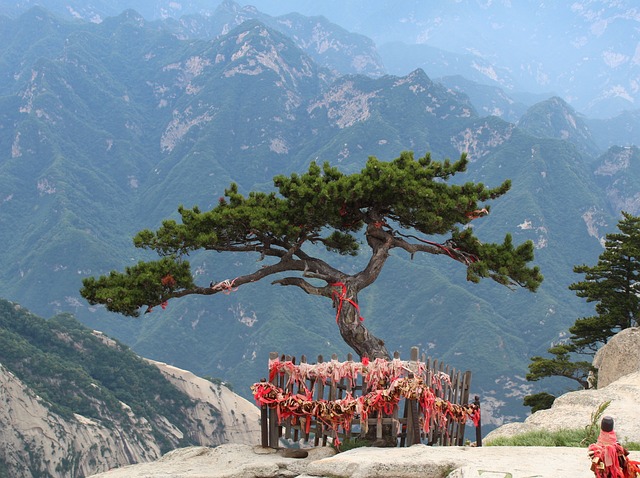 华山 中国 山 - 上的免费照片