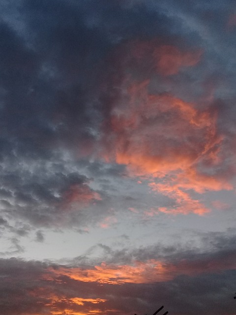 日出 委内瑞拉 - 上的免费照片