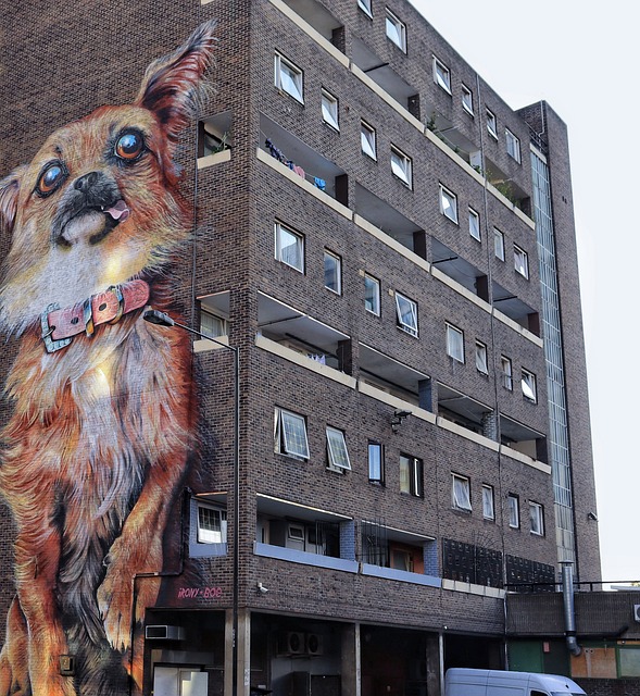 涂鸦 狗 墙 - 上的免费照片