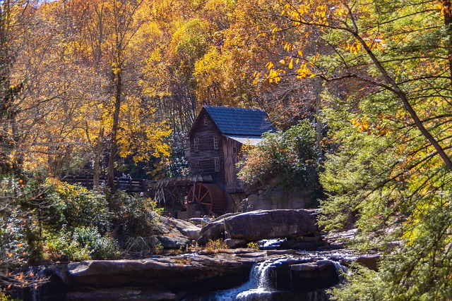 Babcock Wv Gristmill 溪 - 上的免费照片