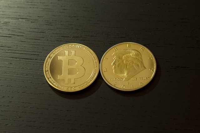 比特币 Btc 钱 - 上的免费照片