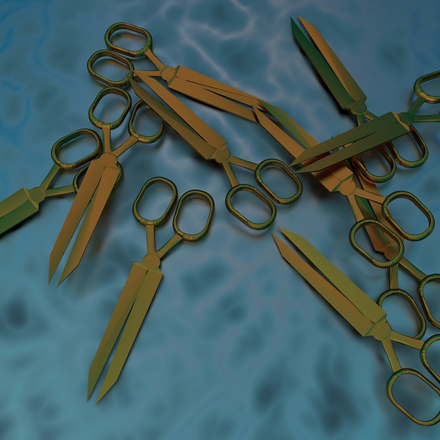 剪刀 剪 切 - 上的免费图片