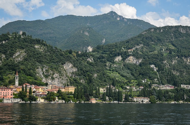 树木 岩石 景观 - 上的免费照片
