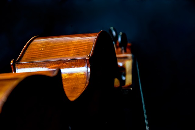 仪器 大提琴 字符串 - 上的免费照片