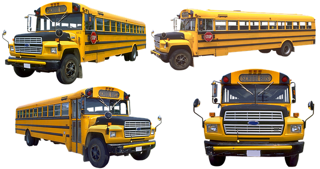校车 公共汽车 学校 - 上的免费照片