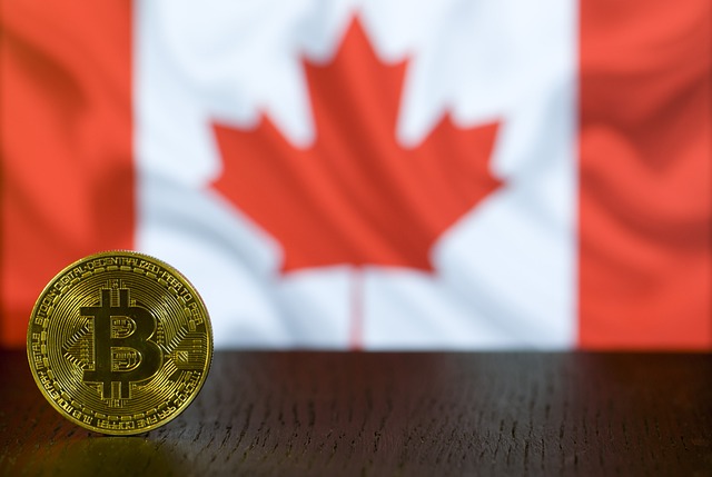比特币 Btc 钱 - 上的免费照片