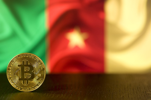 比特币 Btc 钱 - 上的免费照片