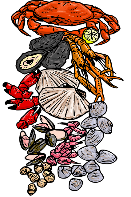 贝类 美食家 海鲜 - 上的免费图片