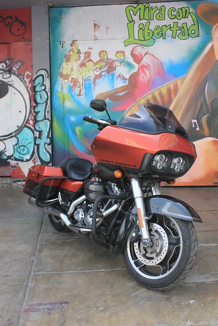 哈雷 Harleydavidson 马达 - 上的免费照片