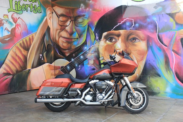 哈雷 Harleydavidson 马达 - 上的免费照片