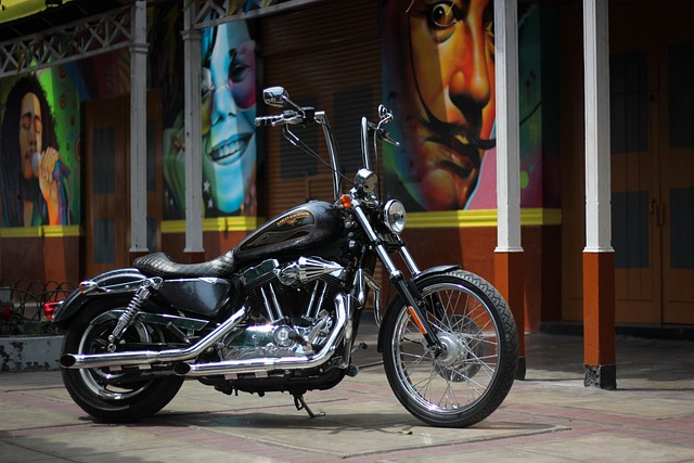 哈雷 Harleydavidson 马达 - 上的免费照片