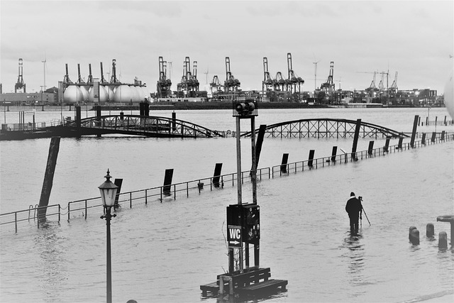 洪水 Schwarzwei?fotografíe 海鲜市场 - 上的免费照片