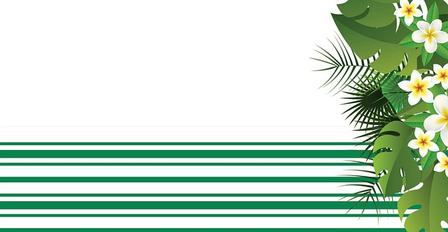 背景 墙纸 异国情调 - 上的免费图片