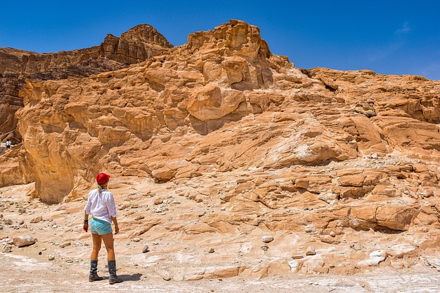 以色列 提姆纳公园 自然 - 上的免费照片