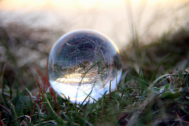 Lensball 光 草 - 上的免费照片