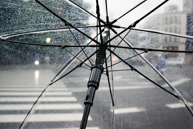 雨伞 雨 湿的 - 上的免费照片