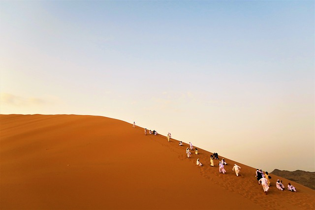 沙漠 沙 旅行者 - 上的免费照片