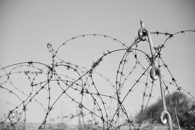 带刺铁丝网 危险 金属丝 - 上的免费照片