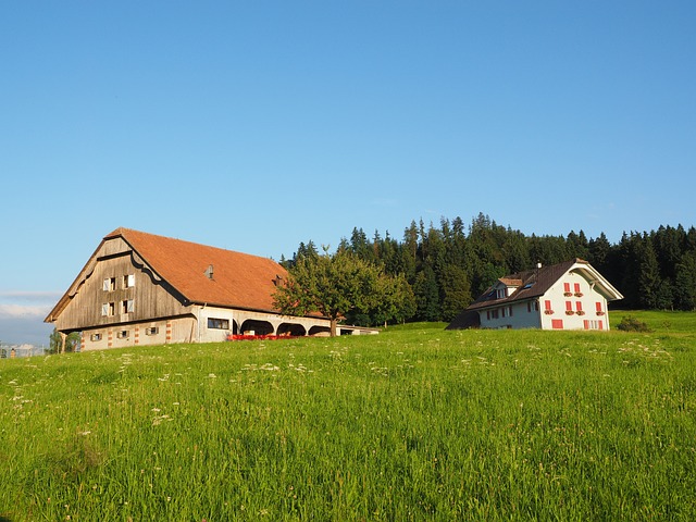 农场院子 Ründihaus 农家 - 上的免费照片