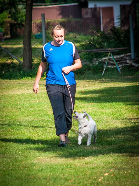 跑步 走 走的时候 - 上的免费照片