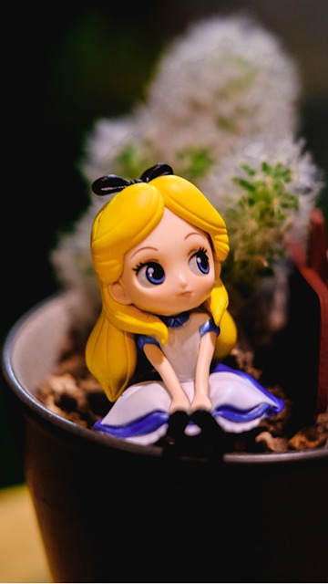 Q Posket 玩具 商店。 - 上的免费照片