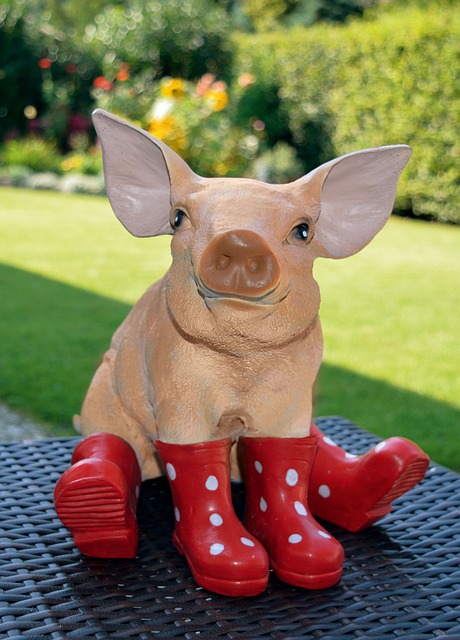猪 花园人物 红色的胶靴 - 上的免费照片