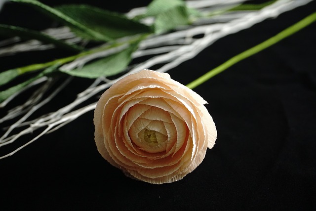 纸花 绉纸花 手工造纸花 - 上的免费照片