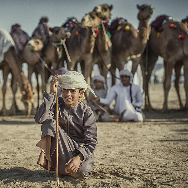 男孩 骆驼 孩子 - 上的免费照片