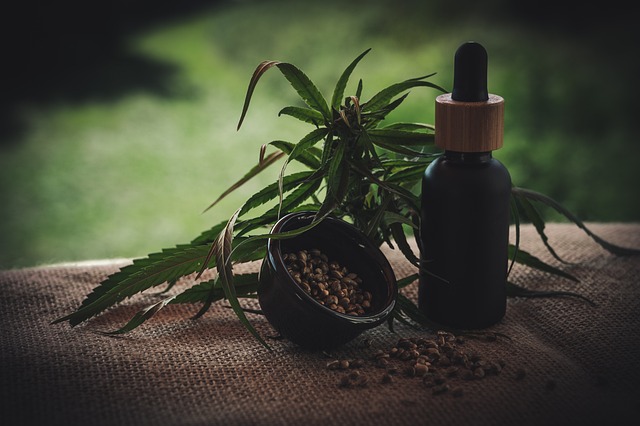 Cbd ?l Cbd油 油 - 上的免费照片