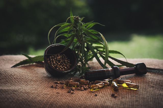 Cbd ?l Cbd油 油 - 上的免费照片