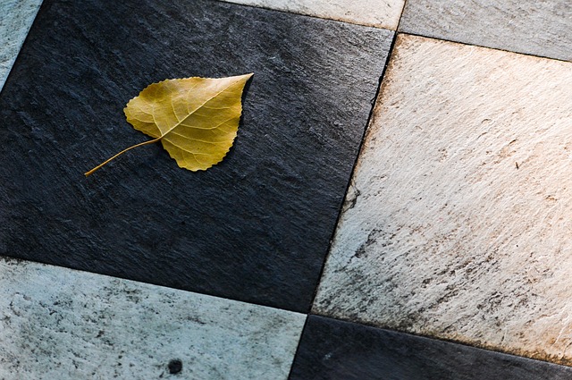 叶子 瓷砖 地面 - 上的免费照片