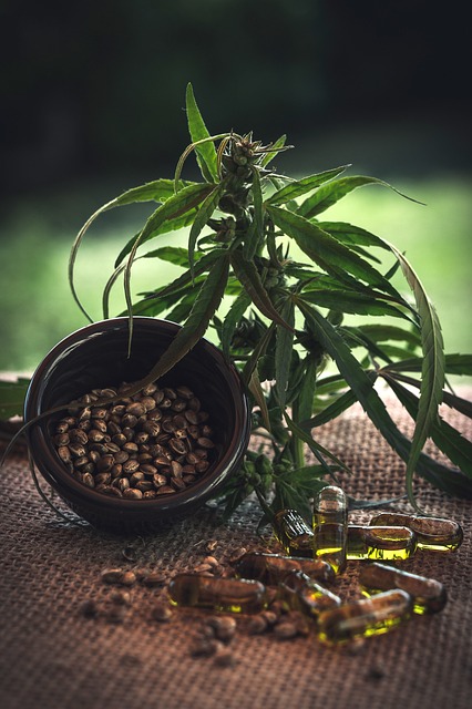 中央商务区 卡普森 - 上的免费照片