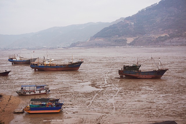Beaches Seas Coasts Fishing - 上的免费照片