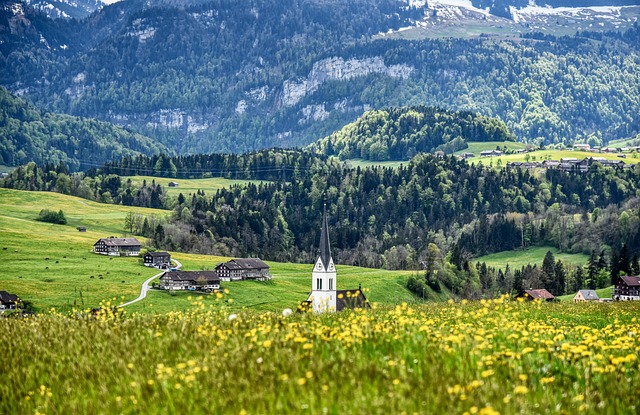 Bregenzerwald 夏季草地 教会 - 上的免费照片
