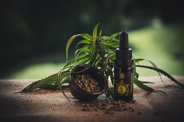 中央商务区 Cbd Kapseln 大麻二酚 - 上的免费照片
