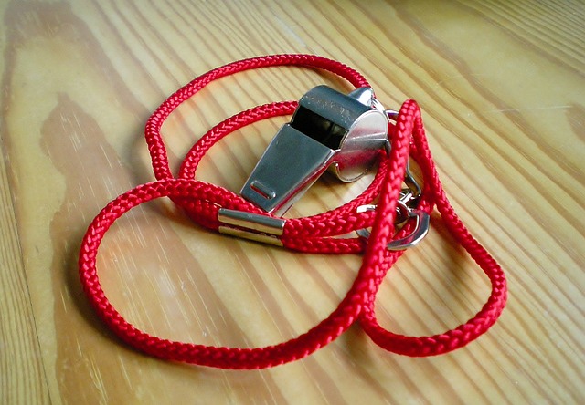 裁判 足球 运动的 - 上的免费照片