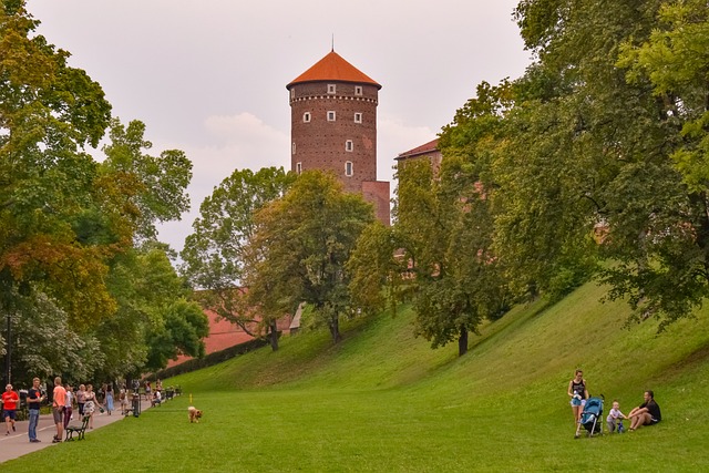 公园 树木 绿色 - 上的免费照片